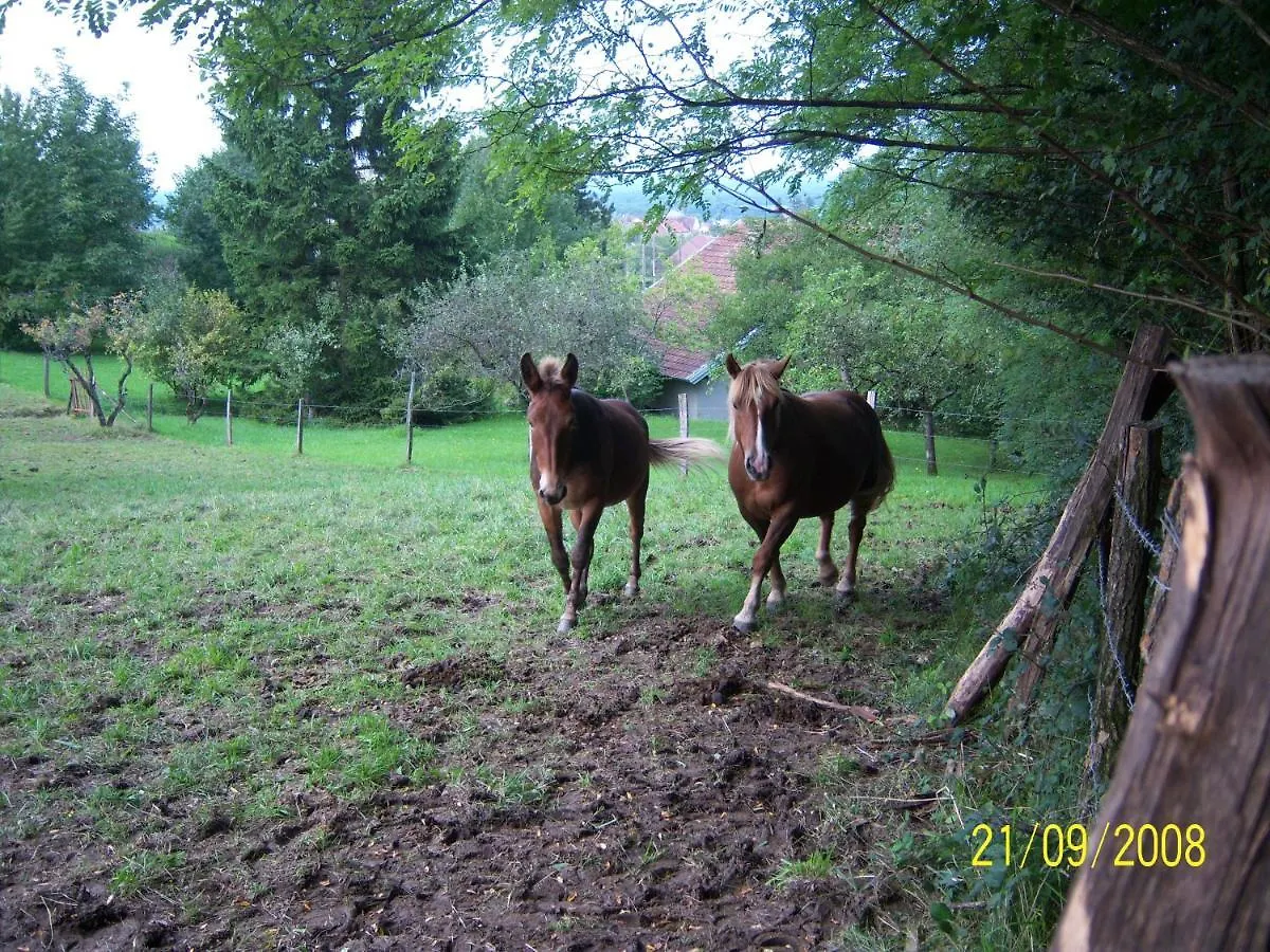 2 Chambres D'Hotes Privees Louees Separement Avec Communs A Partager Beaufort  3*, Beaufort (Jura) France